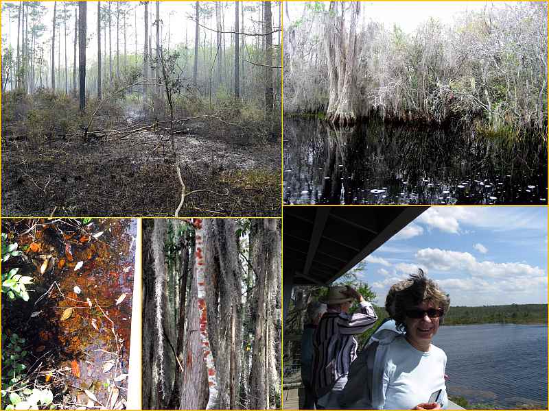 Okefenokee National Wildlife Refuge