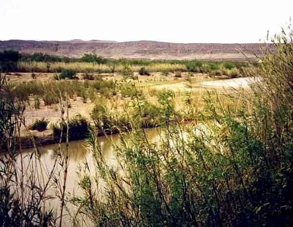 The Rio Grande - Cottonwood Campground