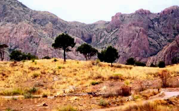 View From The Veranda - Chisos Mountain Lodge