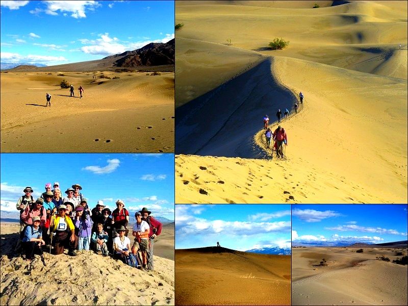 Mesquite Canyon Sand Dunes Montage