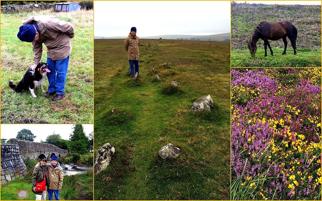 Dartmoor Nation Park, Yelverton, County Devon, Photo Collage Photo Collage