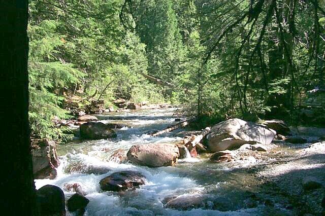 On The Trail To Avalanche Lake