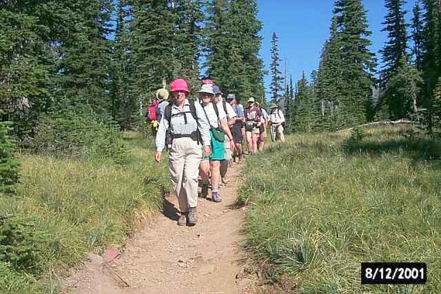 On the Carthew Trail