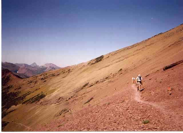 Carthew Trail - Above The Tree Line