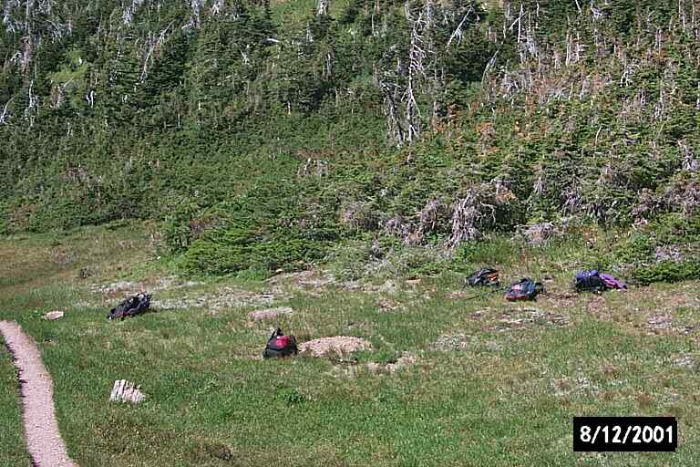 Glade Below Carthew Pass