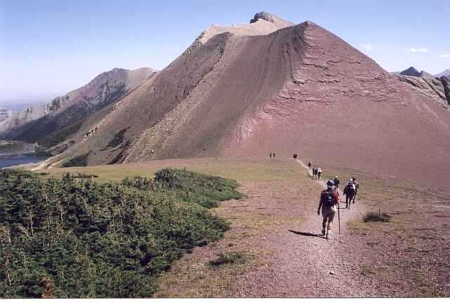 Glade Below Carthew Pass