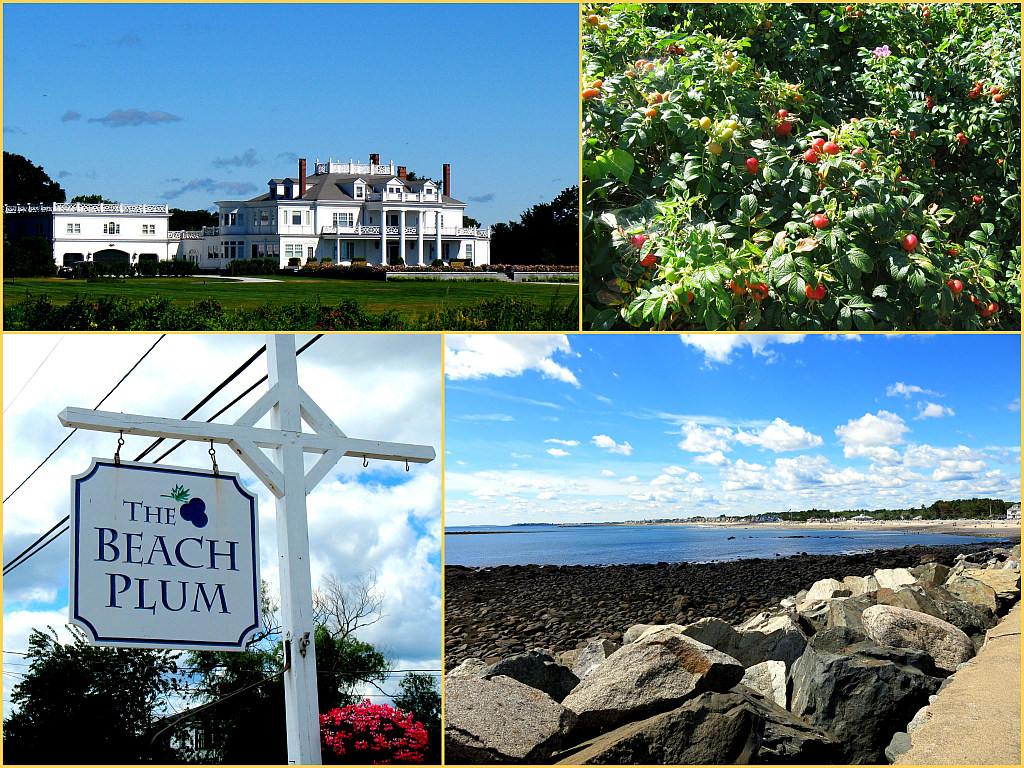 New Hampshire Coast Montage