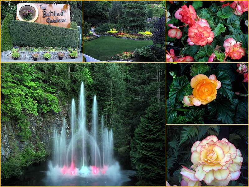 Buchart Gardens Montage