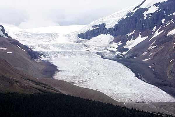  Wilcox Pass Trail - Columbia Ice Field - Athabasca Glacier 