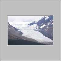 Wilcox Pass Trail - Columbia Ice Field - Athabasca Glacier