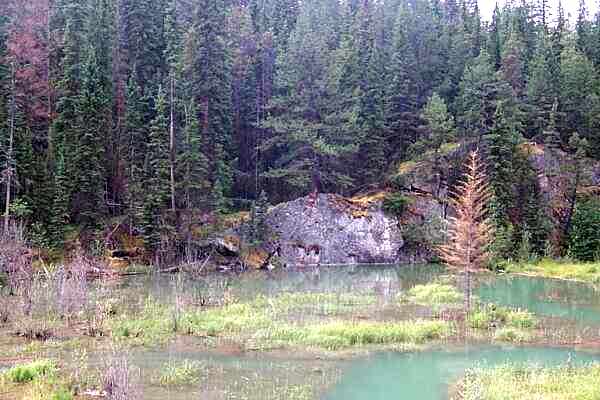 Beaver Pond - The Valley of the Five Lakes