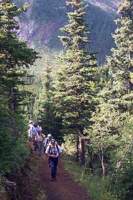  Ascending the Sulphur Skyline Trail 