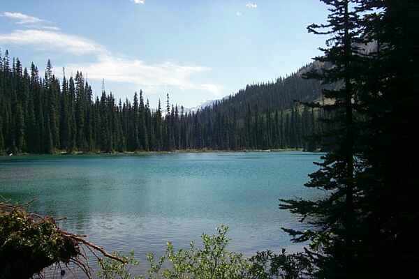  Yoho Lake 