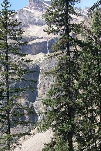  Along the Trail through Yoho Pass 