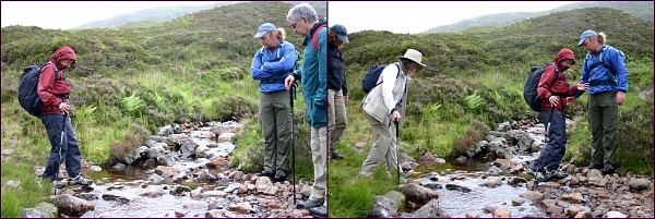 Joyce On The Trail