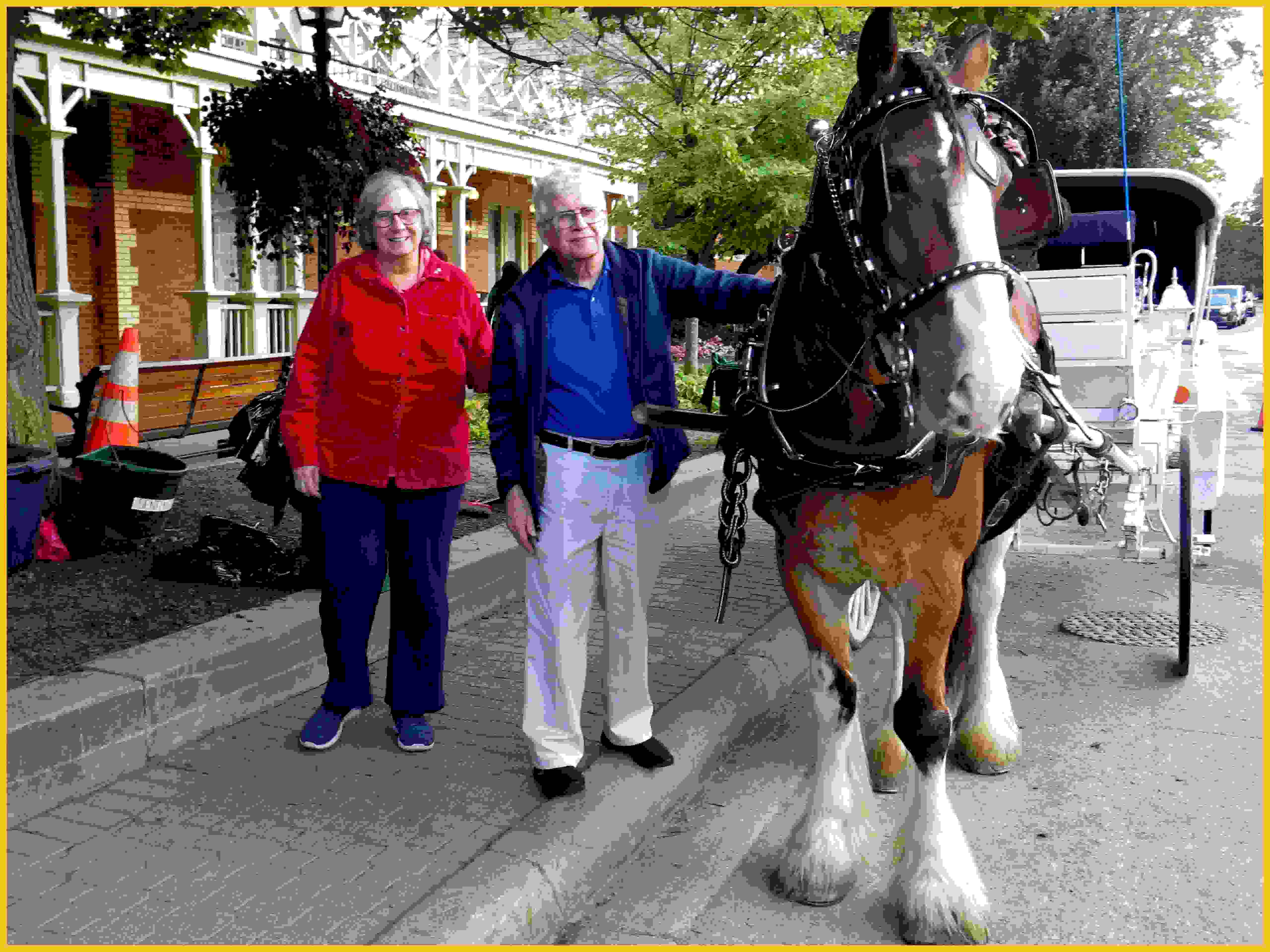 Horse and Carriage