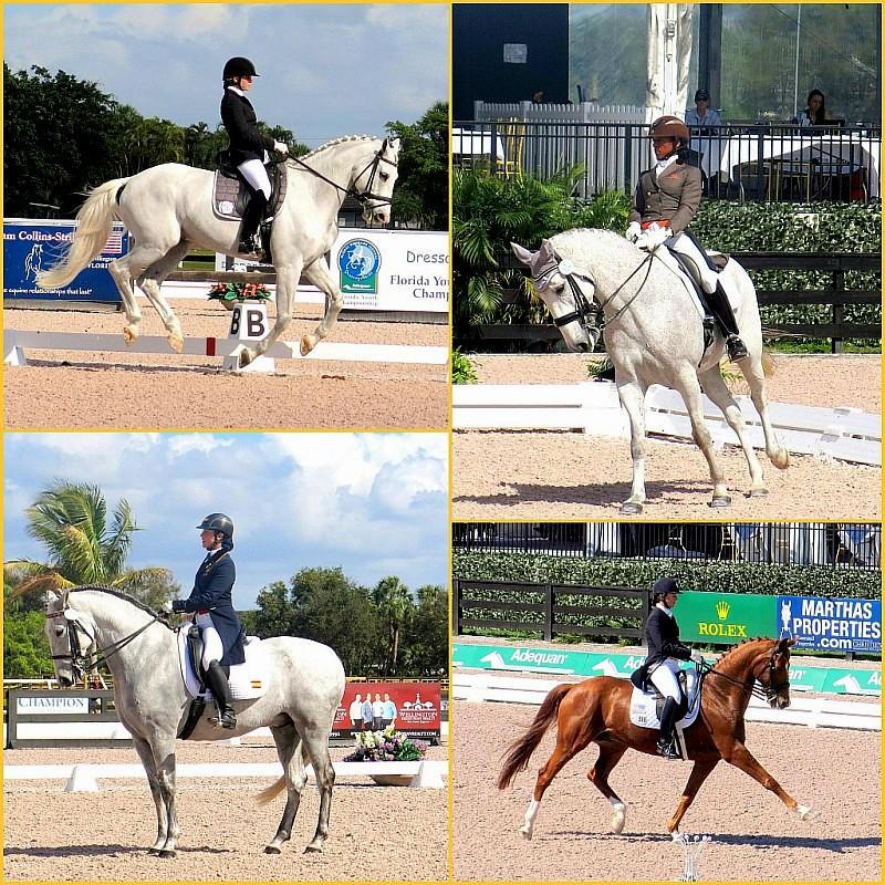 Equestrian Competitions at Wellington, FL, February 2014