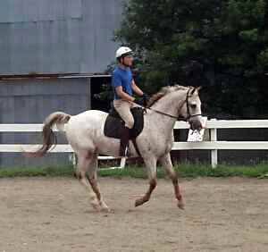 Niko and I, Spring, 2003