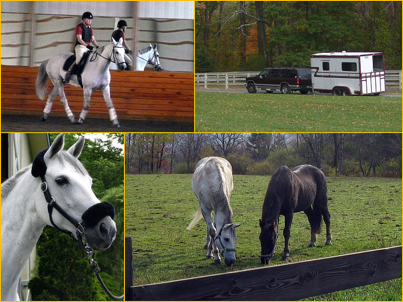Indy Photo Collage