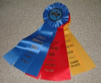  Ribbons from my first show 